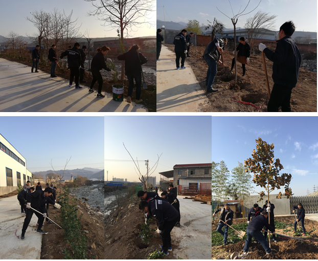 寶雞捷銳“迎春風，綠家園”植樹節(jié)(圖1)