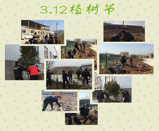 寶雞捷銳“迎春風，綠家園”植樹節(jié)(圖3)